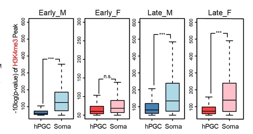 Open access visualization of Box Plot, Boxplots, H3K4me3, hPGCs, Somatic Cells