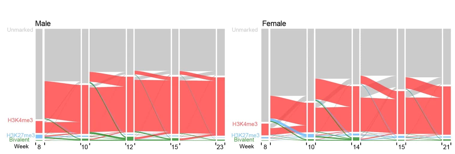 Open access visualization of Sankey, Alluvial Plot, H3K4me3, H3K27me3, Bivalent