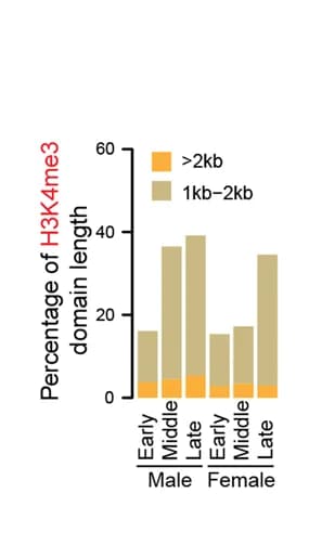 Open access visualization of Stacked Bar Plot, Barplot, H3K4me3 Domains, hPGCs, Domain Length