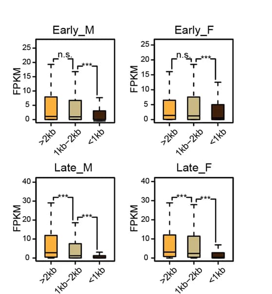 Open access visualization of Box Plot, Boxplots, Gene Expression, H3K4me3 Domains, hPGCs