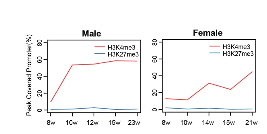 Open access visualization of Line Plot, H3K4me3, H3K27me3, Promoters, Male hPGCs