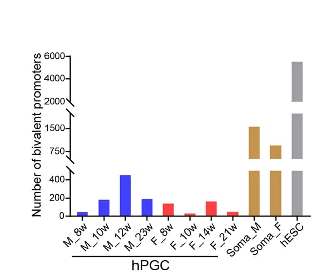 Open access visualization of Bar Plot, Bivalent Promoters, Male hPGCs, Female hPGCs, Gonadal Somatic Cells