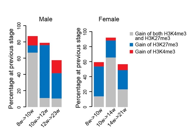 Open access visualization of Stacked Bar Plot, Bar Plot, Bivalent Genes, Male hPGCs, Female hPGCs