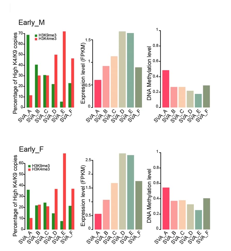 Open access visualization of Bar Plot, Clustered, Histone Marks, Expression, DNA Methylation