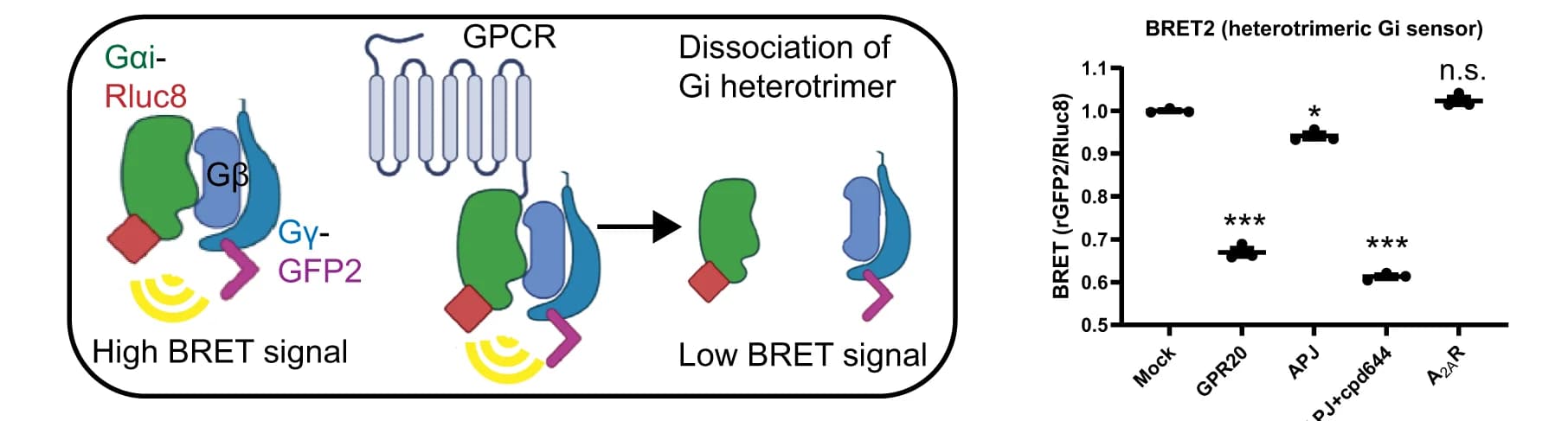 Open access visualization of Scatter Plot, Bioluminescence Resonance Energy Transfer, Gi Heterotrimer, HEK293T Cells, GPR20