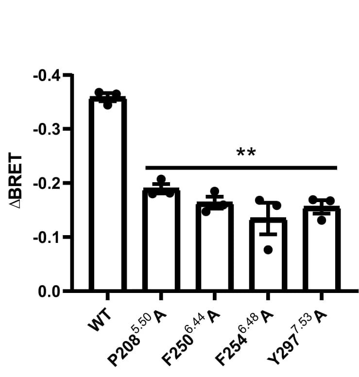 Open access visualization of Bar Plot, Error Bars, Mutation, Micro-switches, BRET Assay