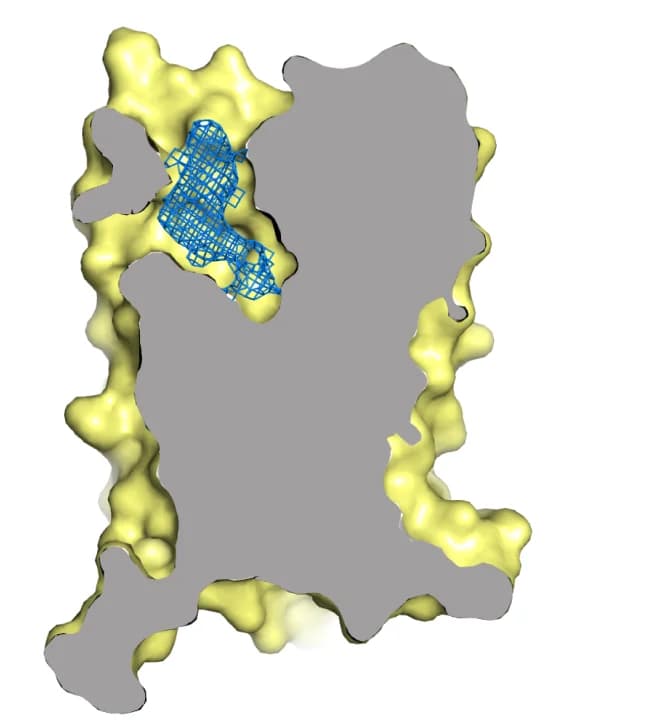 Open access visualization of 3D Plot, Protein Structure, GPR20, GPR20-Fab046 Structure, Electron Density