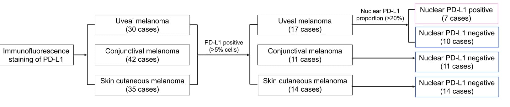 Open access visualization of Workflow, Flowchart, PD-L1, Subcellular Localization, Melanomas