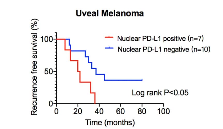 Open access visualization of Survival Curve, Line Step, Kaplan-Meier Analysis, Recurrence-Free Survival, nPD-L1