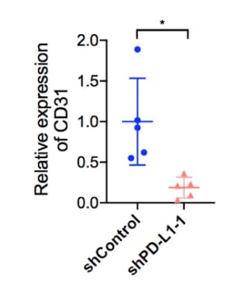 Open access visualization of Scatter Plot, Error Bars, Statistical Analysis, CD31 Expression, UM Orthotopic Xenografts