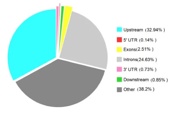 Open access visualization of Pie Chart, PD-L1, CUT&Tag, MUM2B Cells, Genomic Distribution