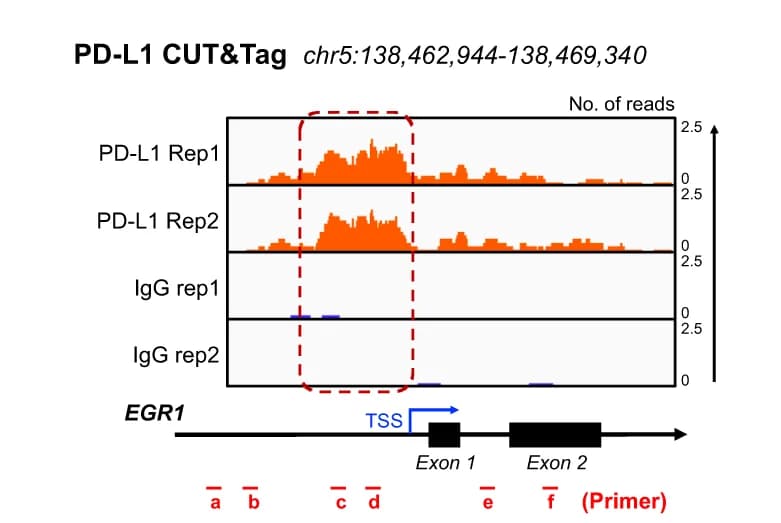 Open access visualization of Line Plot, IGV Tracks, EGR1, PD-L1, CUT&Tag