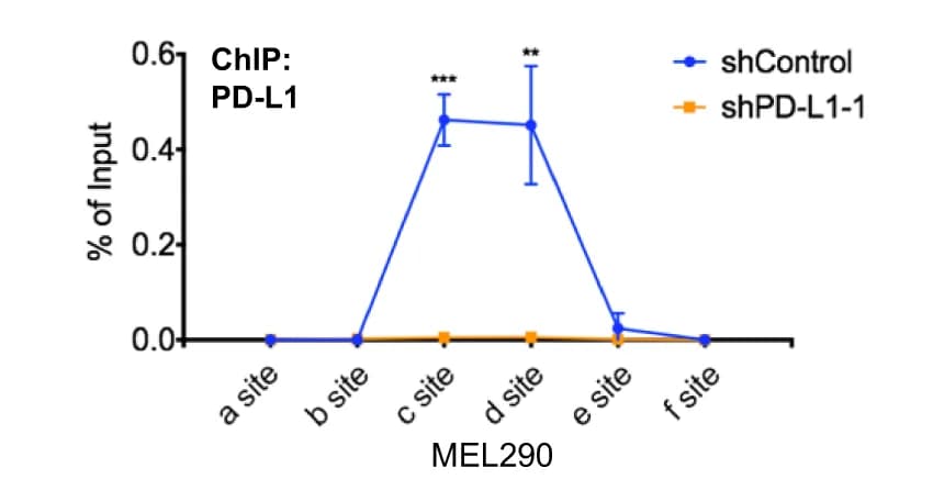 Open access visualization of Line Plot, Error Bars, ChIP-qPCR, PD-L1, EGR1 Promoter