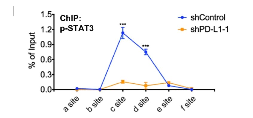 Open access visualization of Line Plot, Error Bars, ChIPqPCR, p-STAT3, EGR1 Promoter