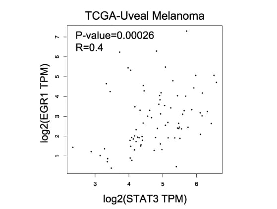 Open access visualization of Scatter Plot, Regression Plot, Gene Expression Correlation, STAT3, EGR1