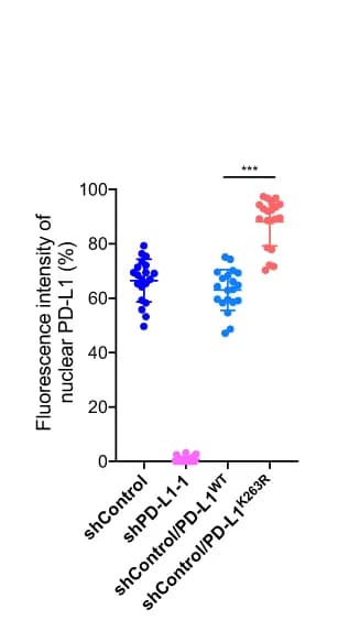 Open access visualization of Scatter Plot, Statistical Analysis, nPD-L1, Fluorescence Intensity, Student's t-test