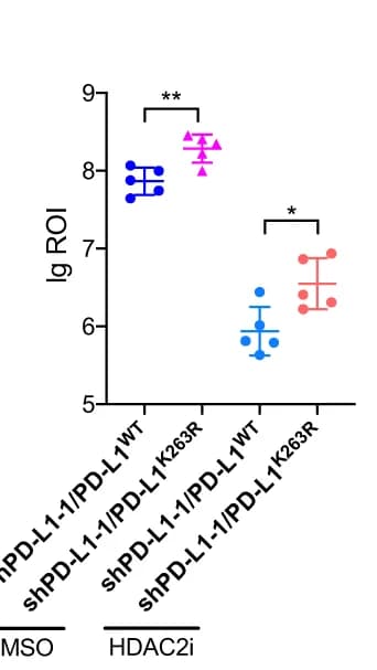 Open access visualization of Scatter Plot, Error Bars, Statistical Analysis, Bioluminescent Signals, UM Orthotopic Xenografts