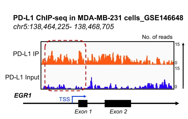 Open access visualization of Line Plot, Illustration, HUVECs, Migration Assay, Statistical Analysis