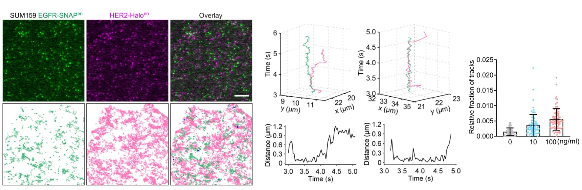 Open access visualization of Microscopy, Line Plot, Error Bars, 3D Plot, SUM159 Cells