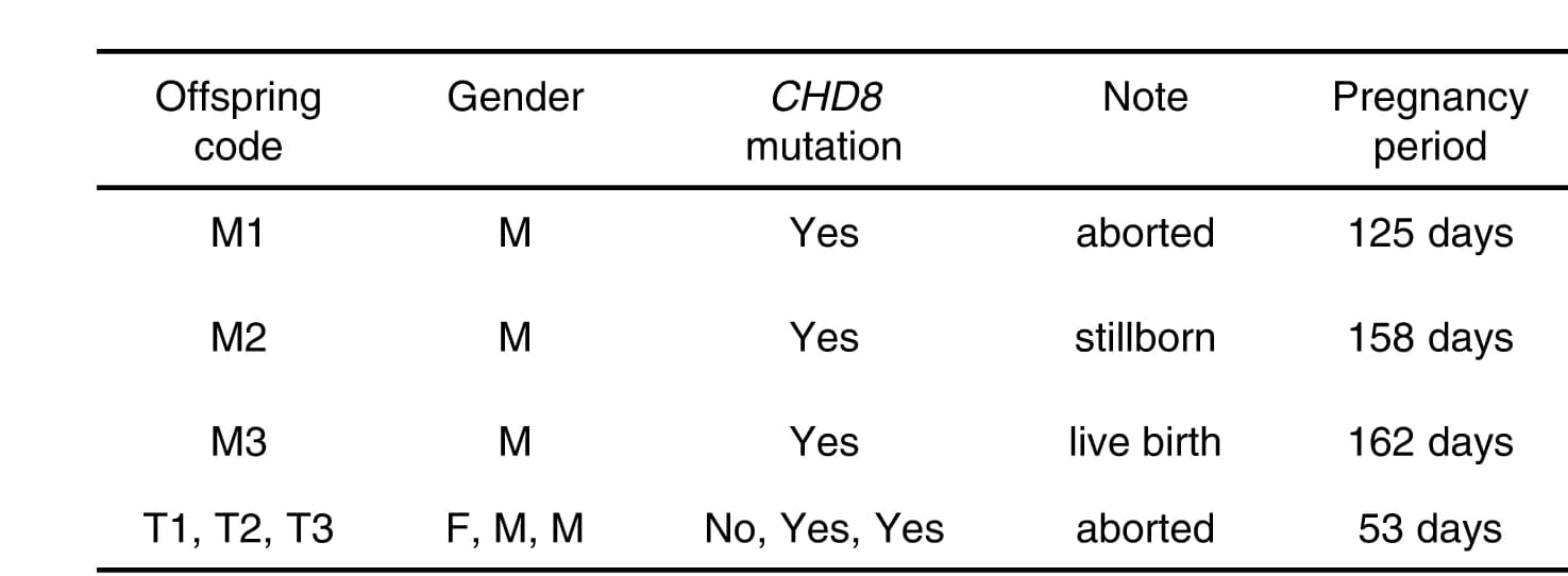 Open access visualization of Table Image, Monkeys, CHD8 Mutations