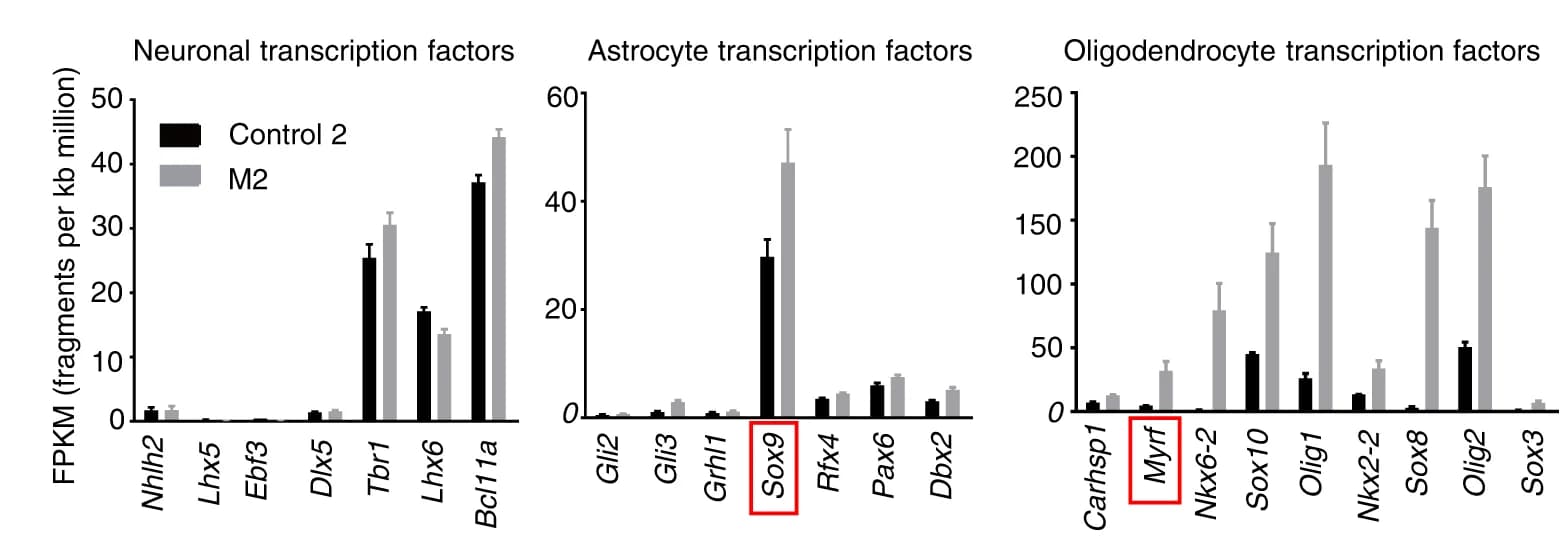 Open access visualization of Clustered, Error Bars, Transcription Factors, Neurons, Astrocytes