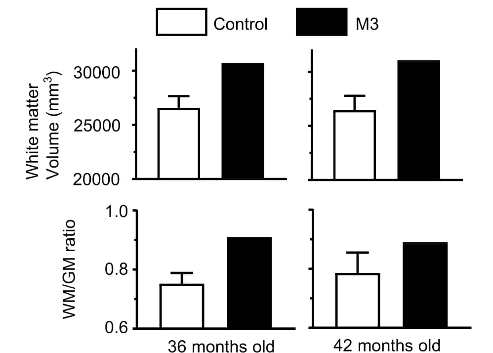 Open access visualization of Bar Plot, Error Bars, White matter, Gray matter, Monkey