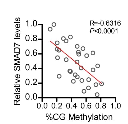 Open access visualization of Scatter Plot, Regression Plot, SMAD7 mRNA Level, DNA Methylation Level, Normal Lung Tissues