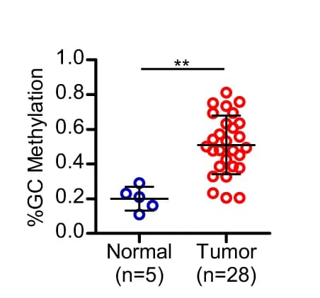 Open access visualization of Scatter Plot, DNA Methylation Level, Normal Lung Tissues, LAD Tissues