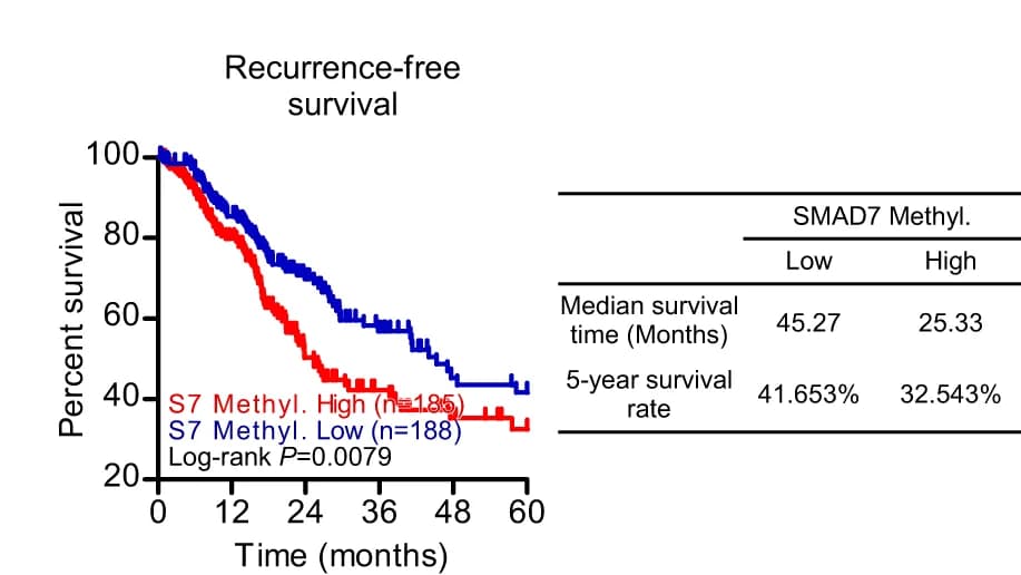Open access visualization of Survival Curve, Table Image, Kaplan-Meier Analysis, Overall Survival, Recurrence-Free Survival