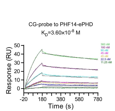 Open access visualization of Line Plot, PHF14 ePHD Domain, Oligonucleotides Probe, SPR Analysis, CM5 Chip