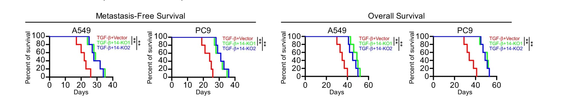 Open access visualization of Survival Curve, Line Step, Kaplan-Meier Analysis, Log-Rank Test, Metastasis-Free Survival