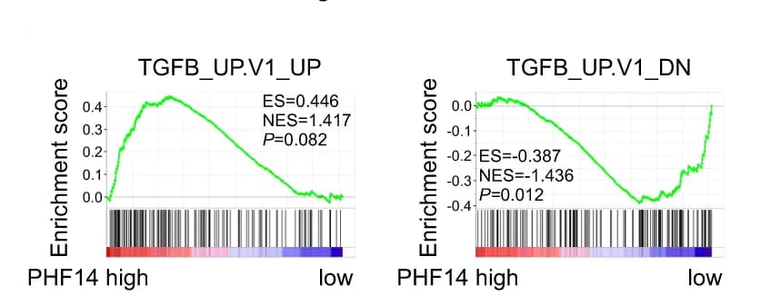 Open access visualization of Line Plot, Bar Plot, GSEA Analysis, PHF14 Level, TGF-beta-mediated Transcription