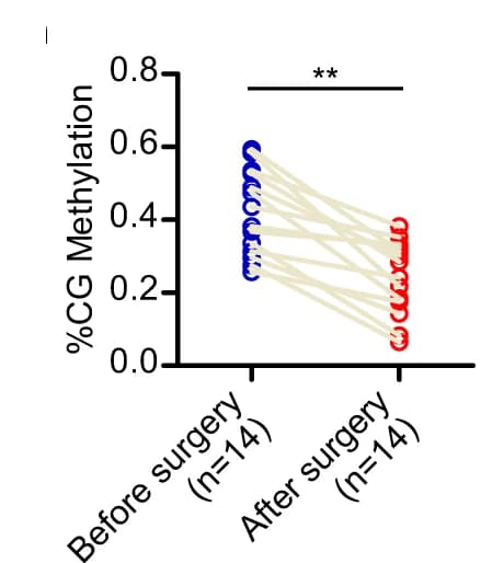 Open access visualization of Scatter Plot, Line Plot, SMAD7 Methylation, ctDNA, Serum Samples
