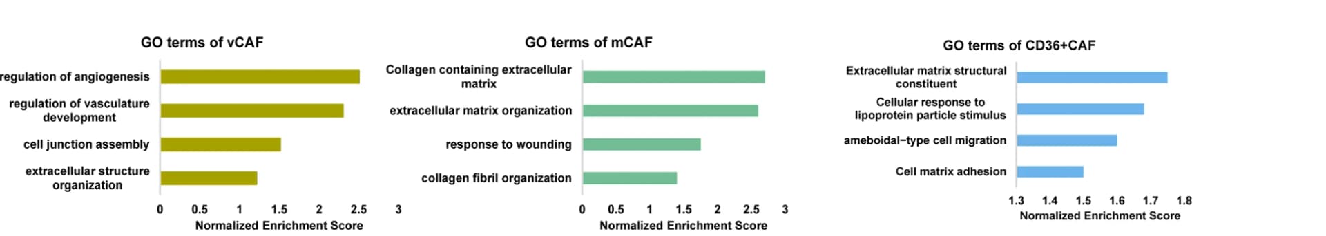 Open access visualization of Bar Plot, GO Analysis, Murine, CAF Subtypes