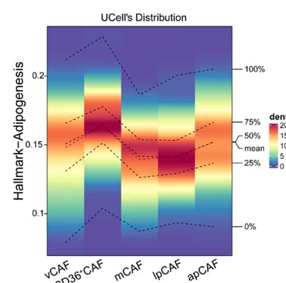 Open access visualization of Heatmap, Line Plot, Adipogenesis Pathway, Gene Signatures, Human CAF Subclusters