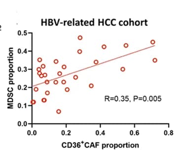 Open access visualization of Scatter Plot, Regression Plot, Correlation, CD36+ CAFs, MDSCs