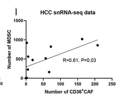 Open access visualization of Scatter Plot, Regression Plot, Correlation, CD36+ CAFs, MDSCs