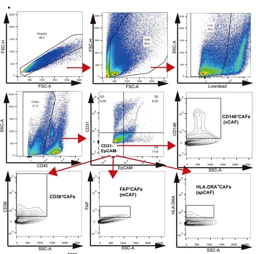 Open access visualization of Scatter Plot, Flow Cytometry, CAF subtypes, HCC tumors