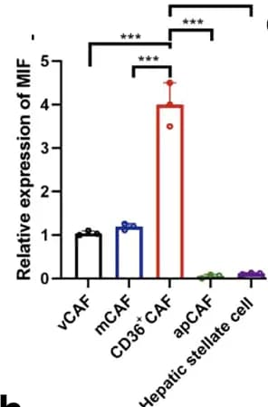 Open access visualization of Bar Plot, Error Bars, qPCR, ELISA, MIF Expression