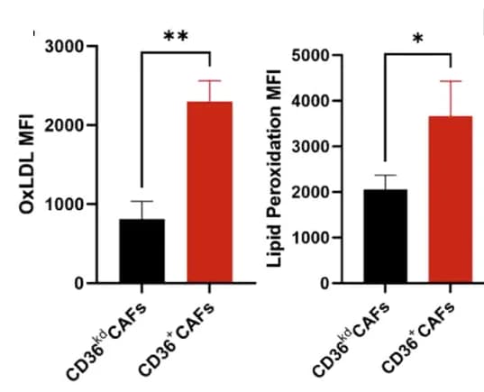 Open access visualization of Bar Plot, Error Bars, Clustered, OxLDL Uptake, Lipid Peroxidation