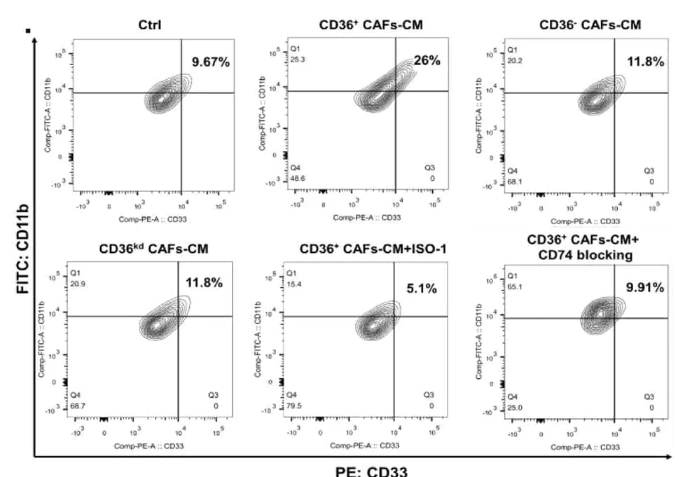 Open access visualization of Scatter Plot, MDSC, Flow Cytometry, CD36+ CAFs, CD36- CAFs