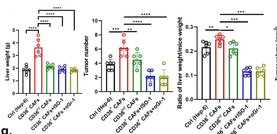 Open access visualization of Bar Plot, Error Bars, Liver Weight, Tumor Numbers, Tumor Volume