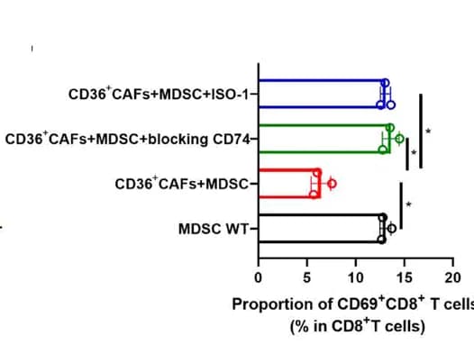 Open access visualization of Bar Plot, Error Bars, CD69+ CD8+ T Cells, MDSCs-WT, CD36+ CAFs