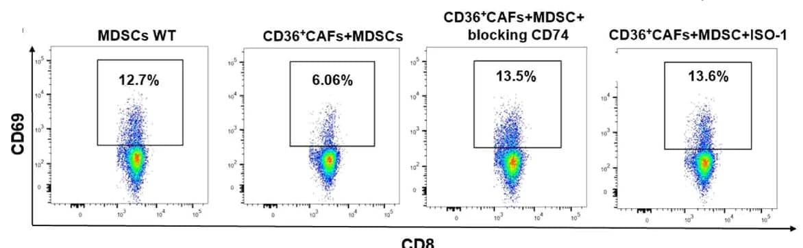 Open access visualization of Scatter Plot, CD69+ CD8+ T Cells, MDSCs-WT, CD36+ CAFs, ISO-1