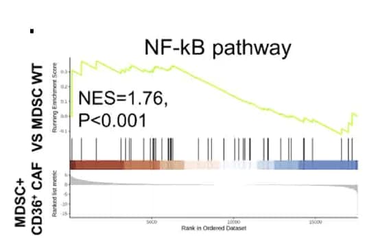 Open access visualization of Line Plot, Bar Plot, GSEA, KEGG Analysis, MDSC