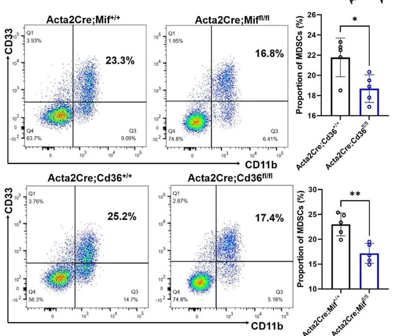 Open access visualization of Scatter Plot, Bar Plot, Error Bars, MDSCs, Cd36 Conditional Knockout Mice