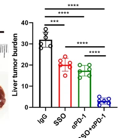 Open access visualization of Bar Plot, Error Bars, CD36 Inhibitor, SSO, PD-1 Blockade