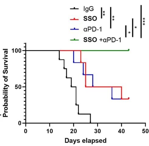 Open access visualization of Survival Curve, Line Plot, CD36 Inhibitor, SSO, PD-1 Blockade