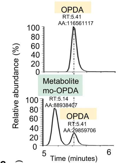 Open access visualization of Line Plot, LC-MS/MS, OPDA, mo-OPDA, JID1 Protein