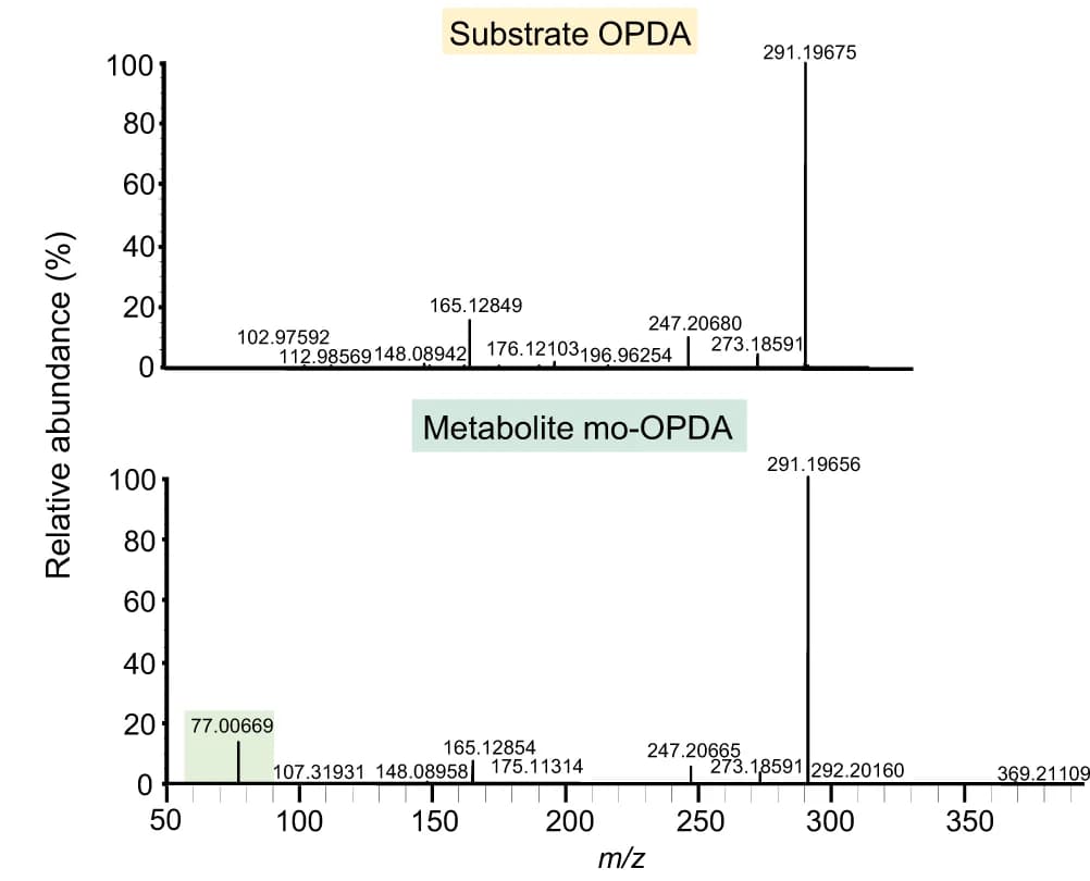 Open access visualization of Bar Plot, MS/MS Spectra, OPDA, mo-OPDA, UHPLC-QE/MS